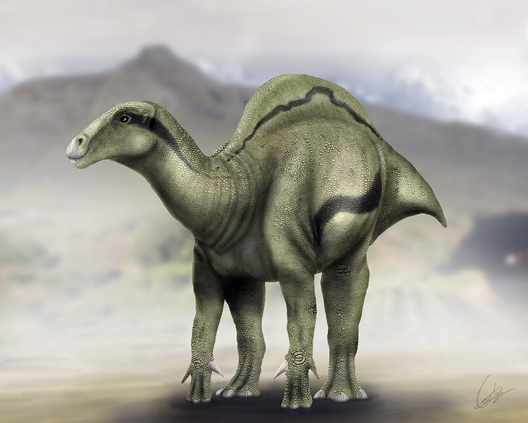 Morelladon beltrani, la nova espècie de dinosaure descoberta a Morella