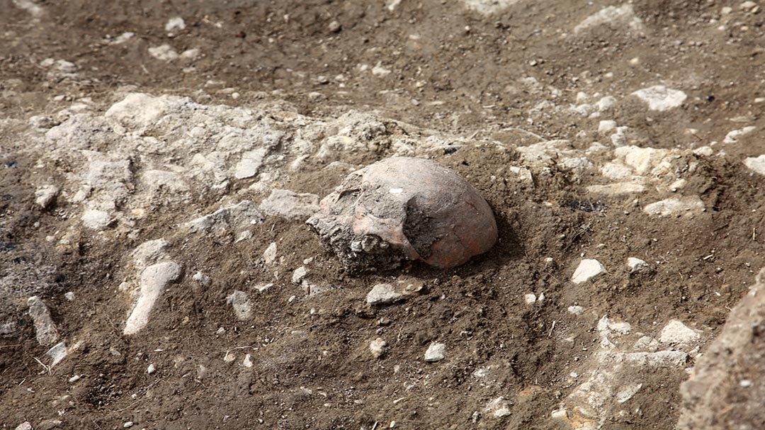 Apareixen restes de cadàvers humans en les noves excavacions de Portell