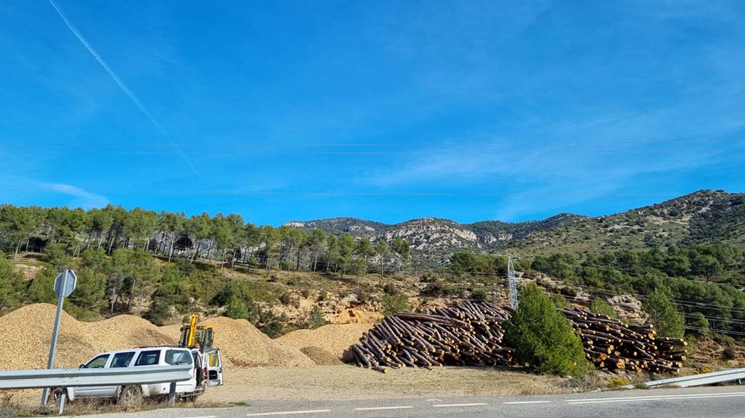 Morella subhasta la fusta dels monts de Vallivana i Carrascals