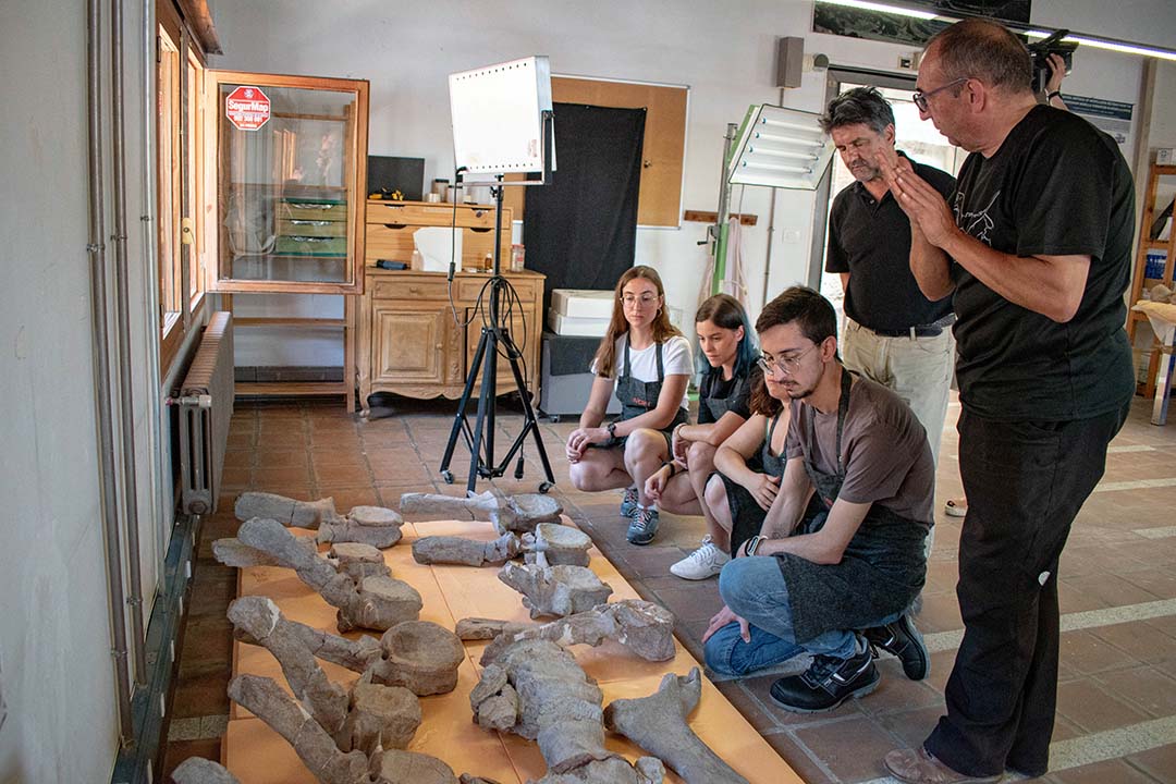El patrimoni paleontològic ja es restaura a Morella